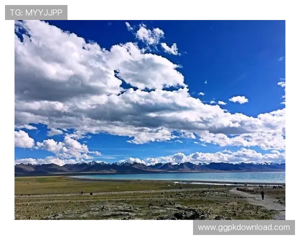 一筒国际娱乐城:丰富的优惠活动与多样的支付方式满足不同玩家的需求 一筒国际娱乐城:丰富的优惠活动与多样的支付方式满足不同玩家的需求